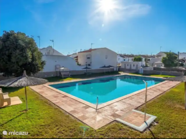 Casa Suerte  en España, Costa Blanca, Torrevieja - apartamento Piscina comunitaria con sombrillas