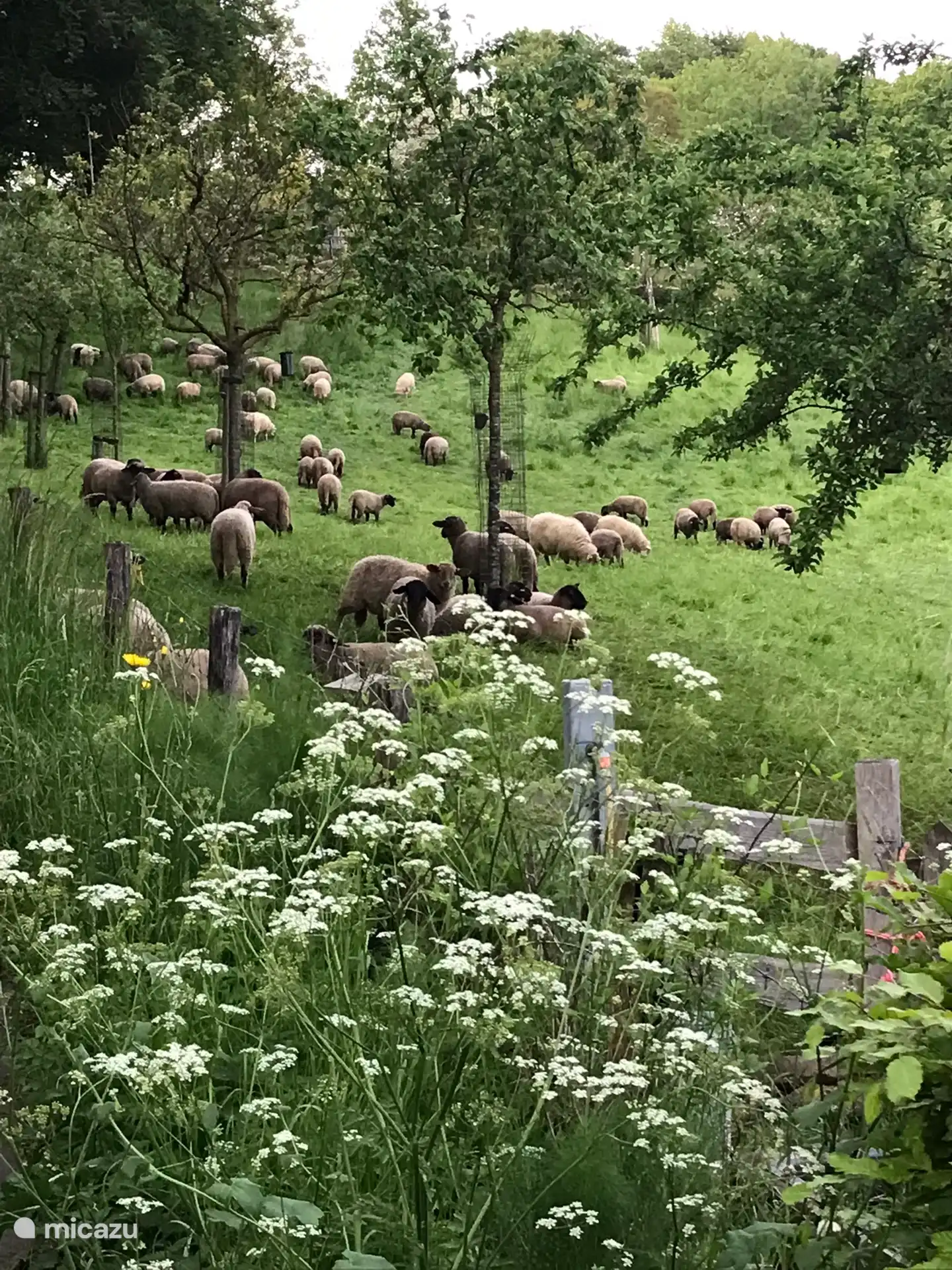 Ein Blick in die Umgebung