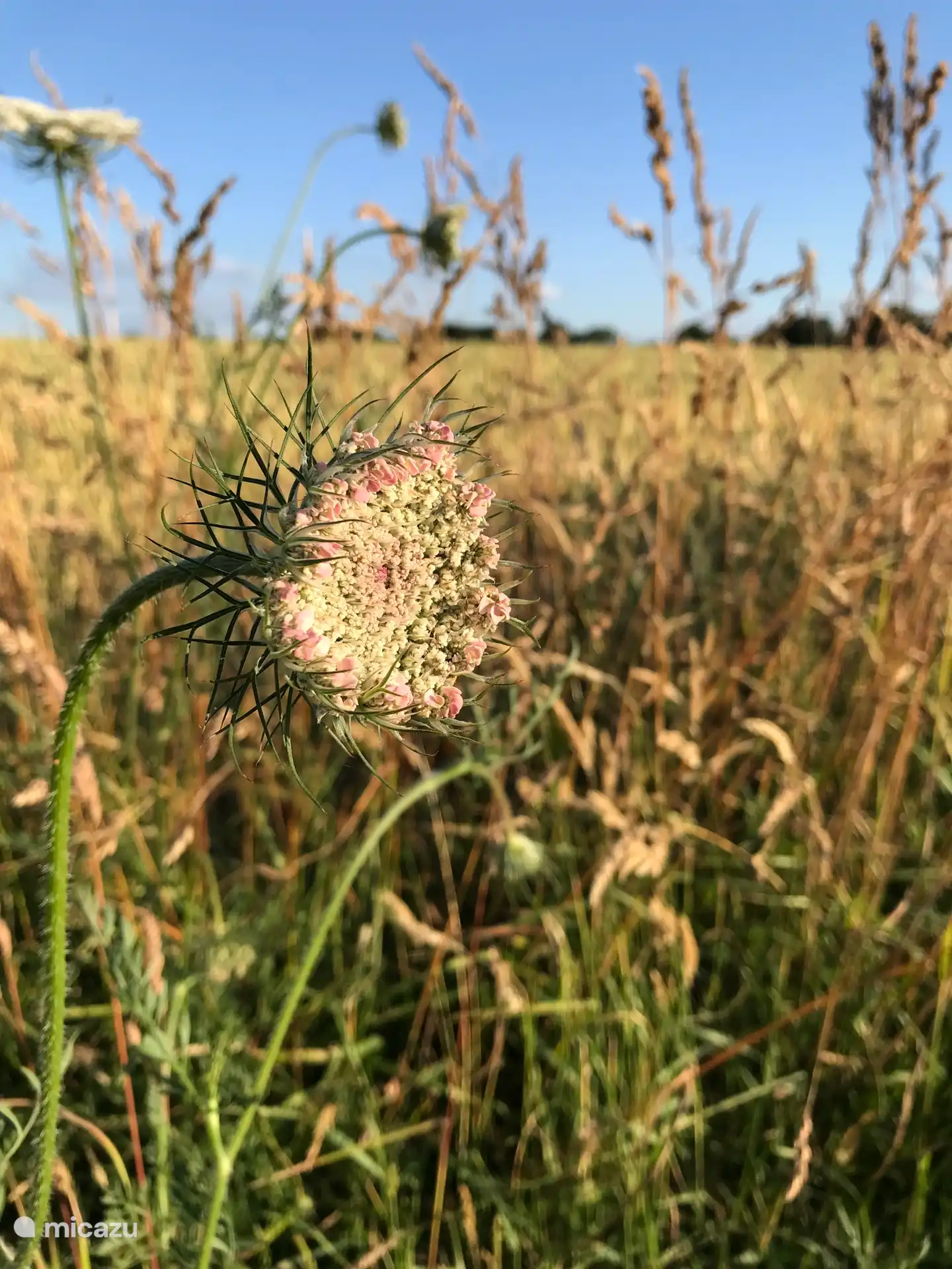 Einfach so am Straßenrand