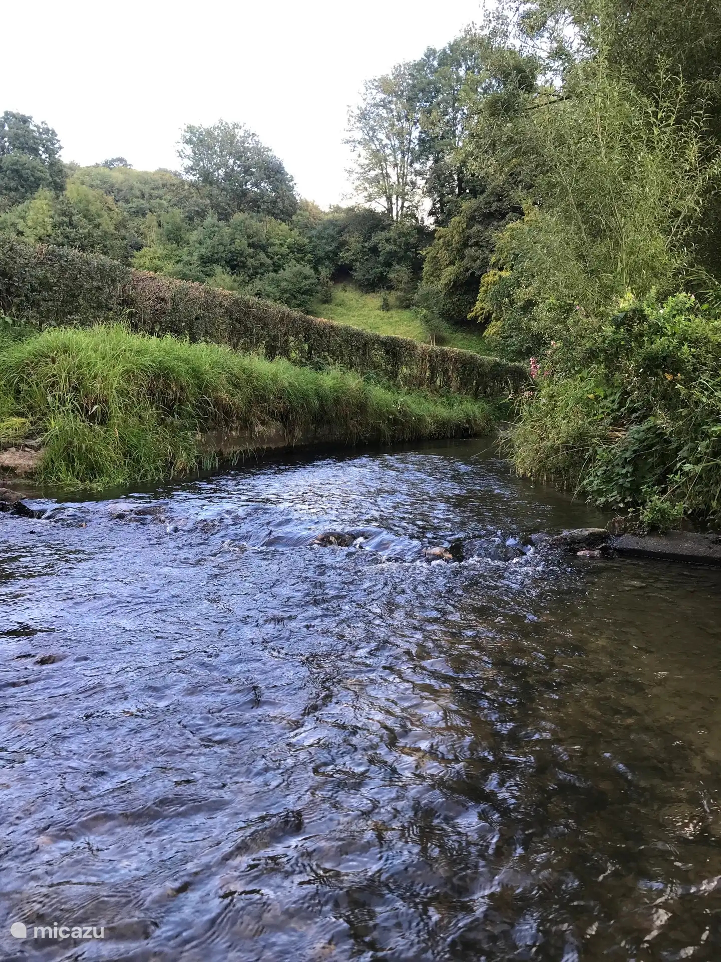 Und auch Bäche sind in unserem schönen Heuvelland zu finden.