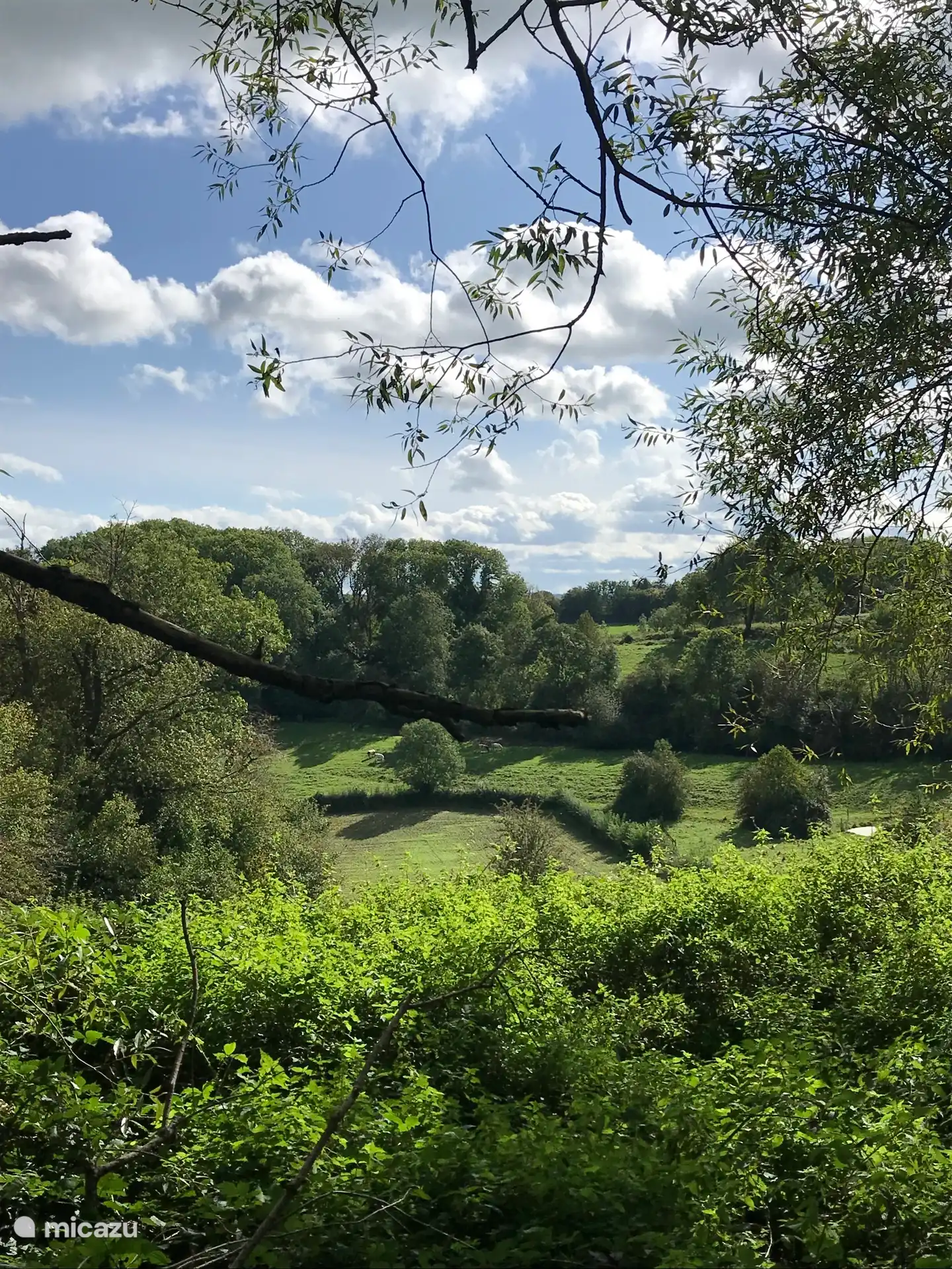 Durchblick bei einem Spaziergang!