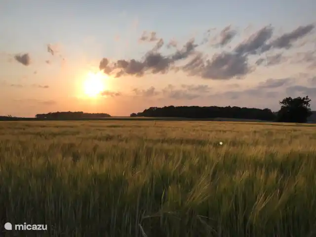 Maison de vacances sur le Plateau GULP | Pays-Bas, Limbourg, Heijenrath - maison mitoyenne Promenade nocturne