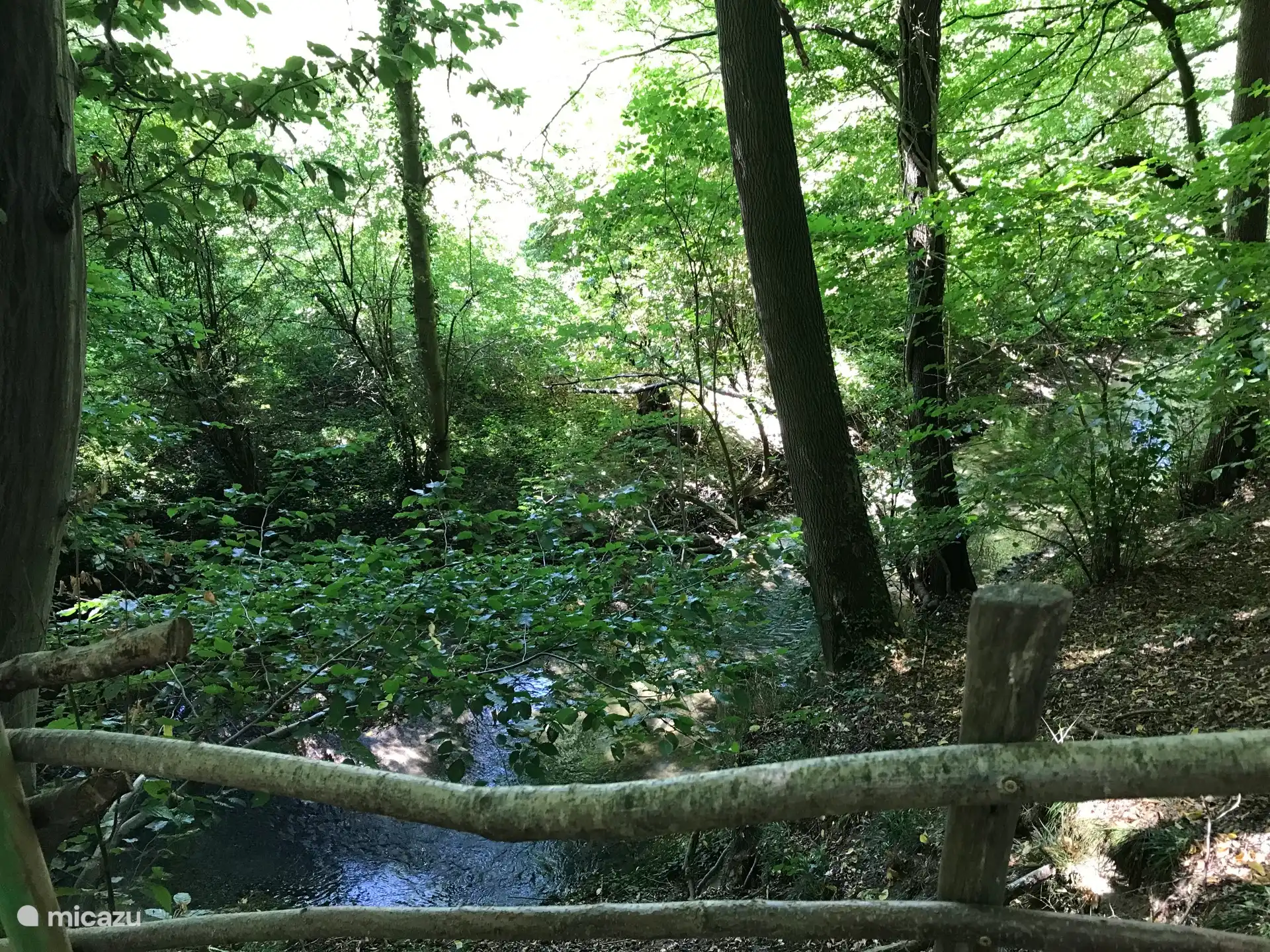 Schöner Spaziergang im Wald