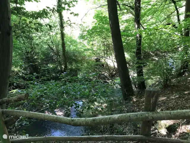 Maison de vacances sur le Plateau GULP | Pays-Bas, Limbourg, Heijenrath - maison mitoyenne Belle balade en forêt