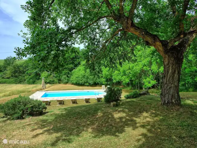 Villa Guadalupe | Italie, Toscane, Cetona - villa