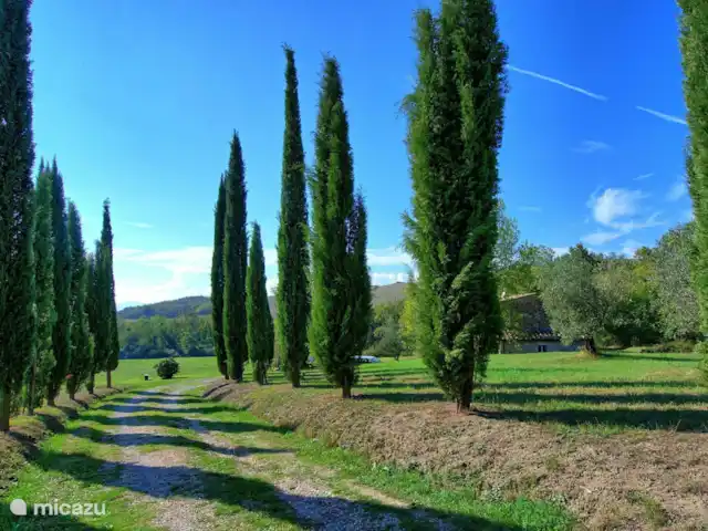 Villa Guadalupe | Italie, Toscane, Cetona - villa