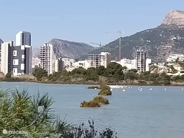 Ambarbeach 25b | Espagne, Costa Blanca, Calpe - appartement