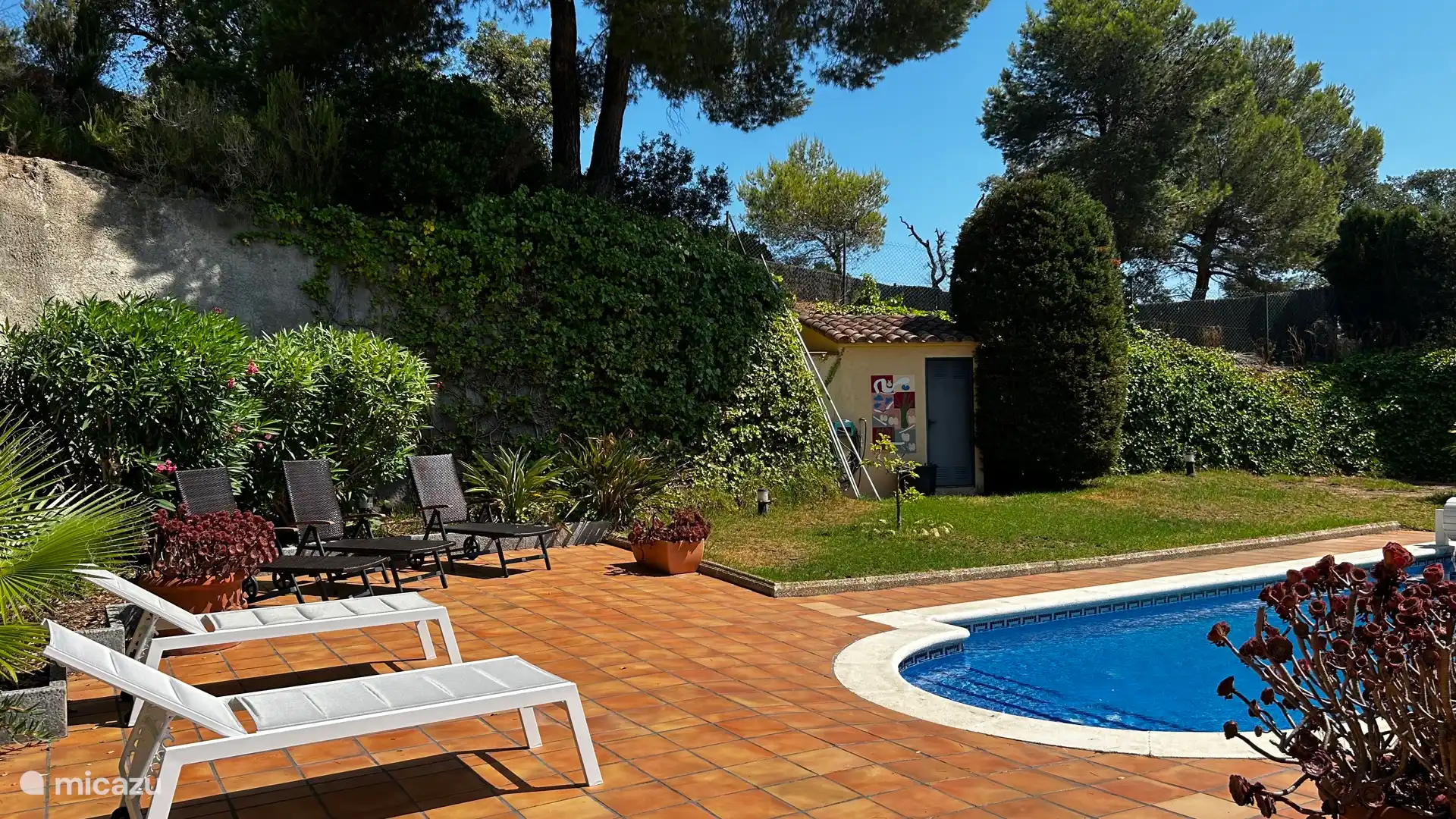 5 Sonnenliegen am Pool