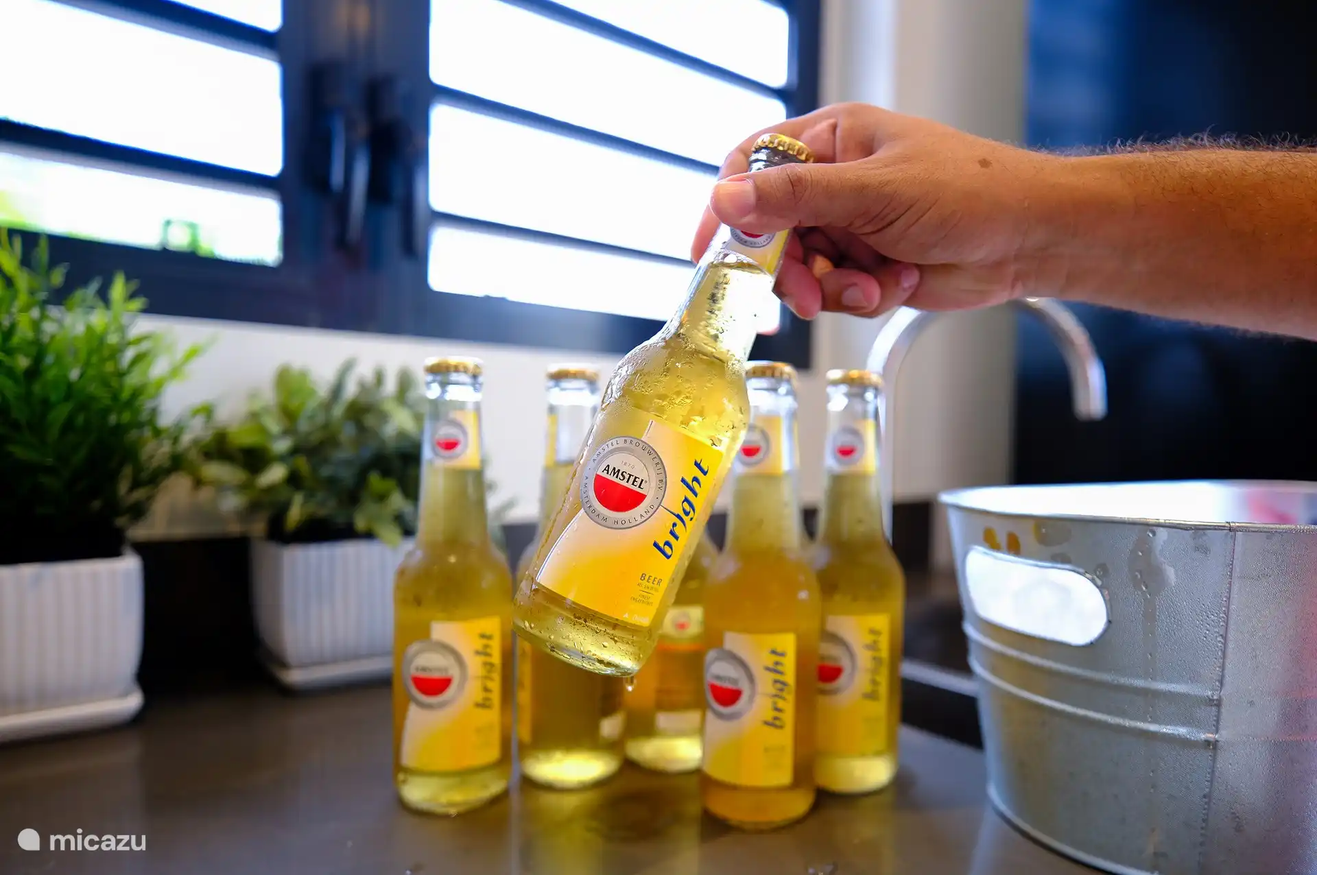 L’établissement est parfait pour déguster des bières fraîches au bord de la piscine. Glacière également disponible