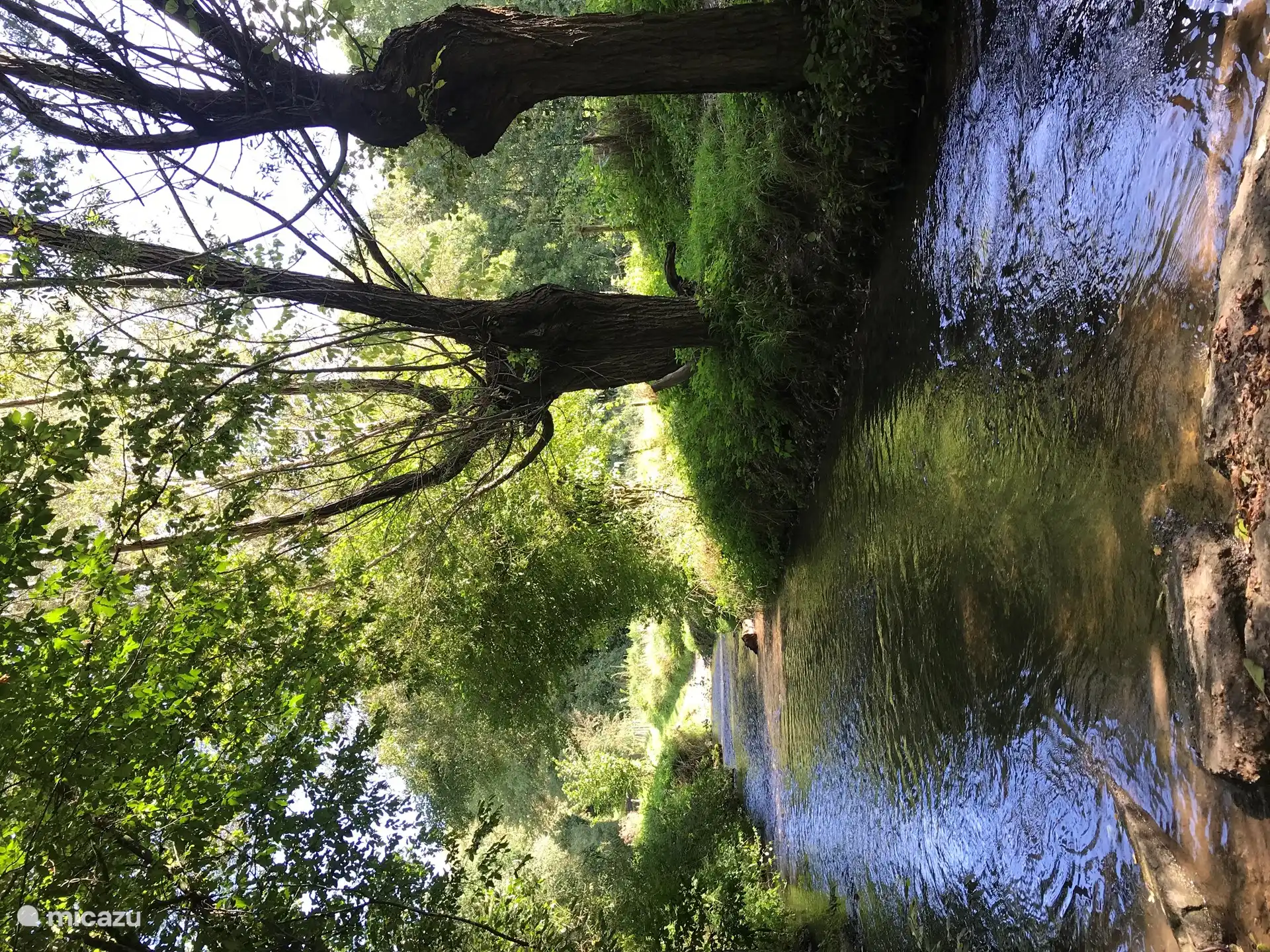 Das begegnet Ihnen auch bei einem Spaziergang.