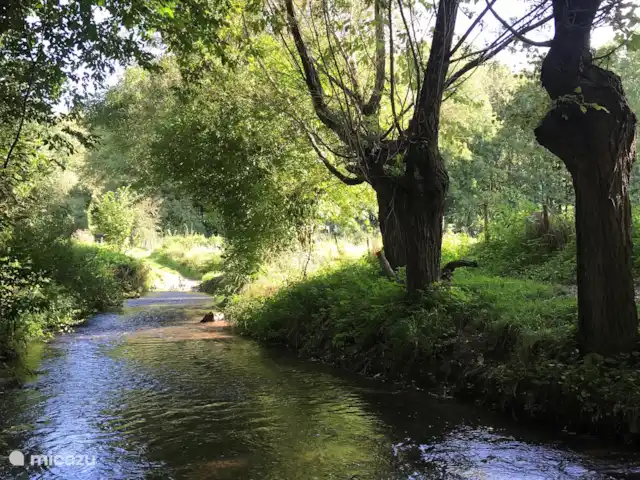La maison de vacances du Plateau Mechelder | Pays-Bas, Limbourg, Heijenrath - maison mitoyenne Vous le rencontrerez également lors d’une promenade.