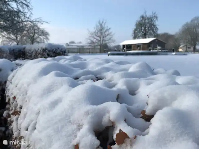 La maison de vacances du Plateau Mechelder | Pays-Bas, Limbourg, Heijenrath - maison mitoyenne Pays des merveilles hivernales.