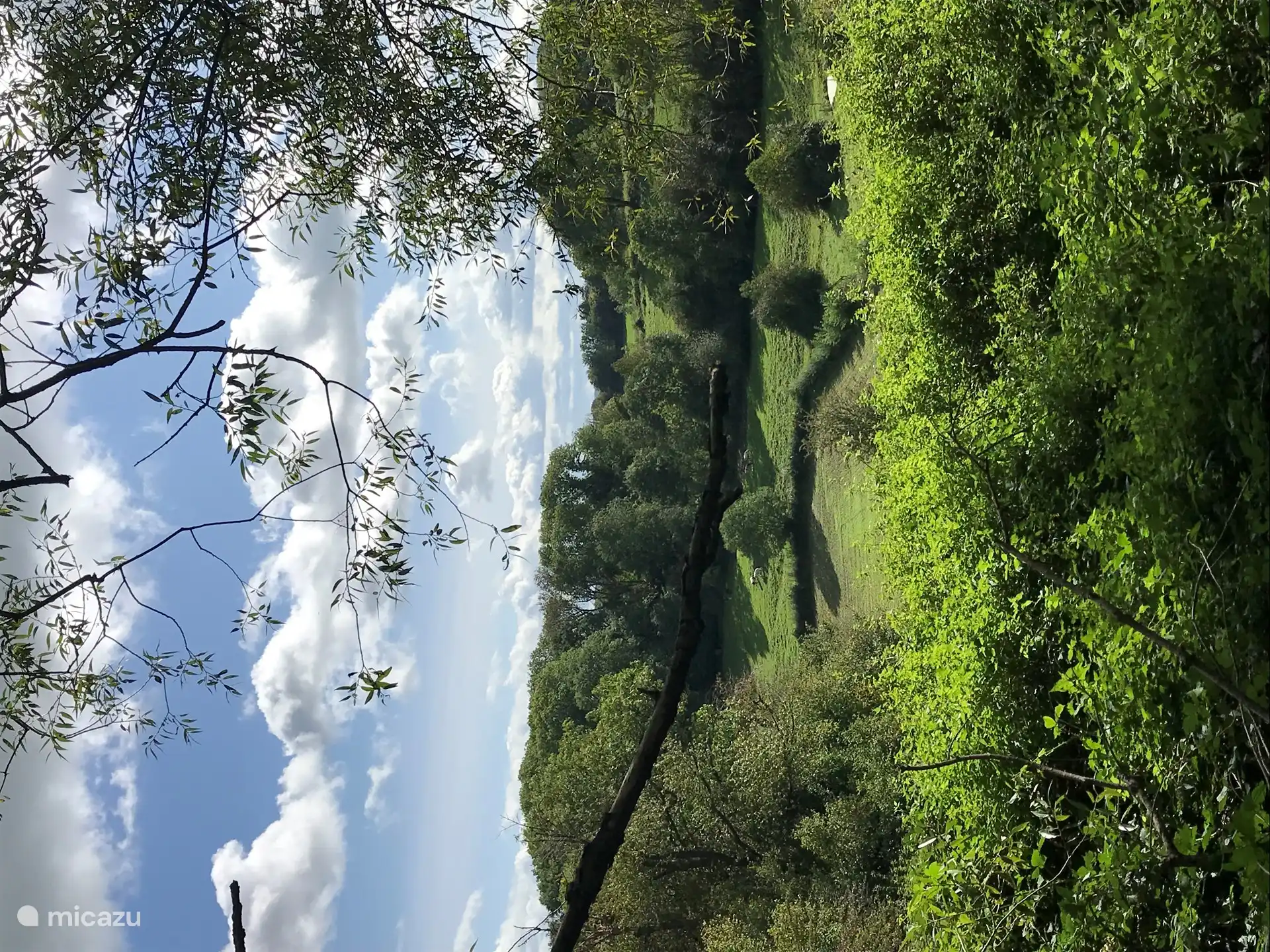 Werfen Sie einen Blick hindurch.