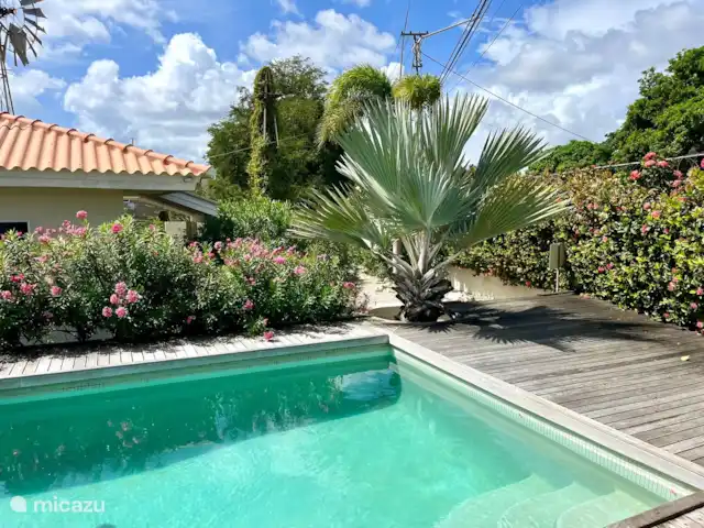 Apartamento Blue Icon en Mambo Beach en Curazao, Banda Arriba (este), Mambo Beach - apartamento Una hermosa zona de piscina compartida donde se puede nadar a cualquier hora del día.