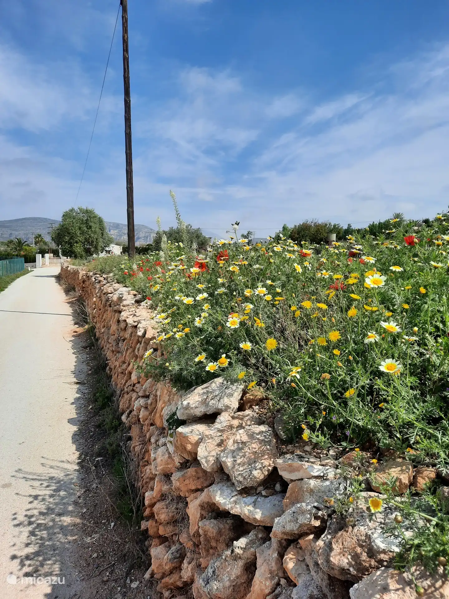 Source à Teulada Moraira 