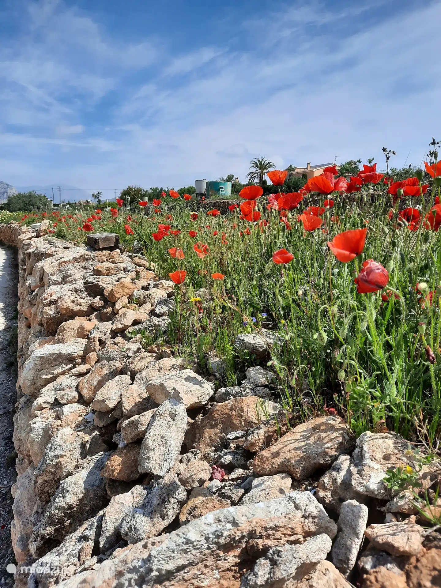 Magnifiques promenades au printemps dans les environs de Teulada Moraira 