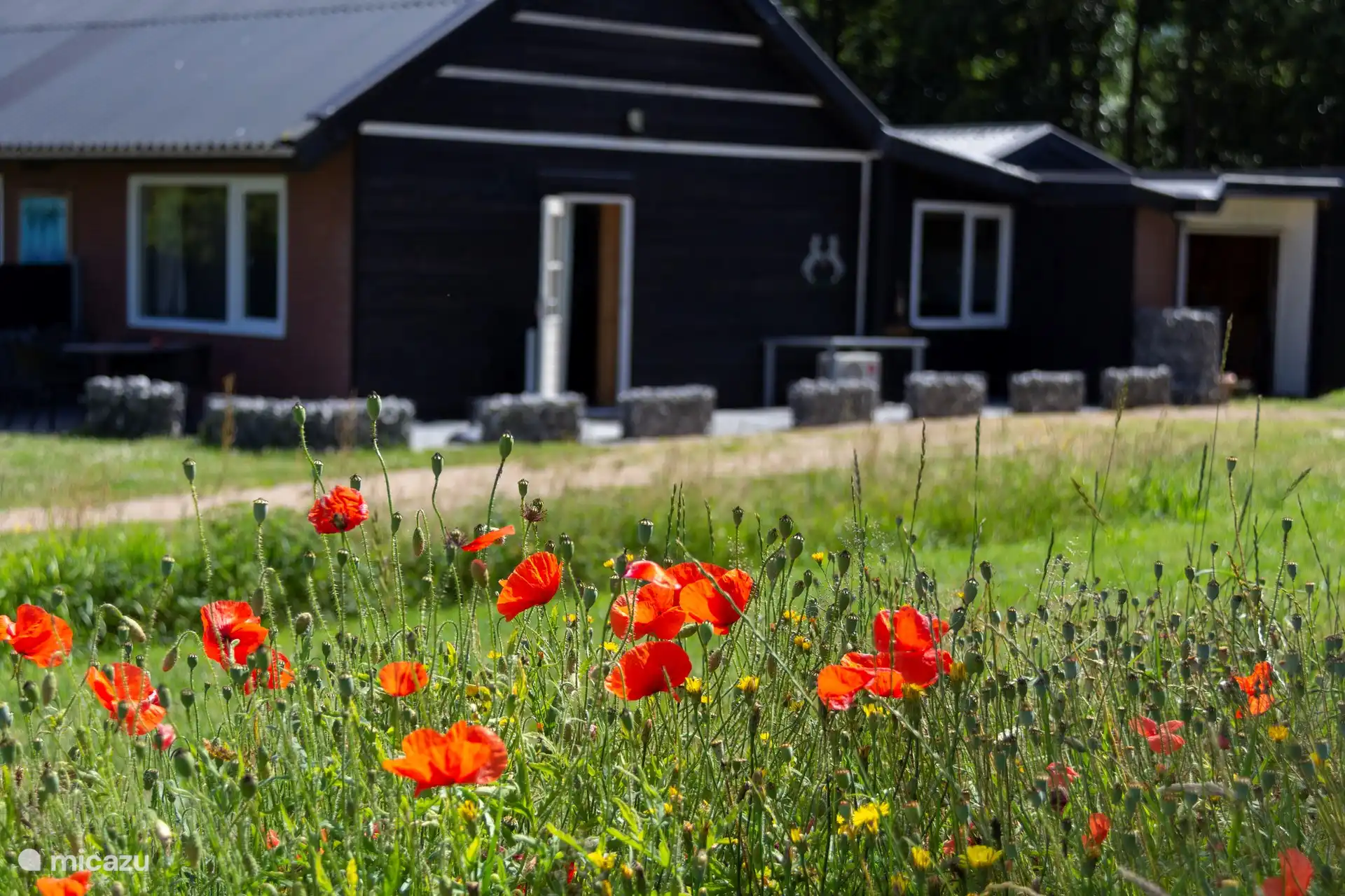 maison de vacances, Renesse, Zélande, Pays-Bas - Savannah House Little Creek