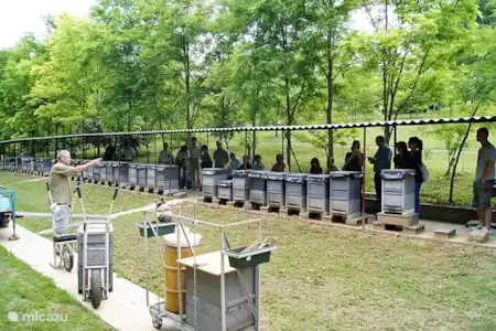 Activités exclusives à travers l’hébergement