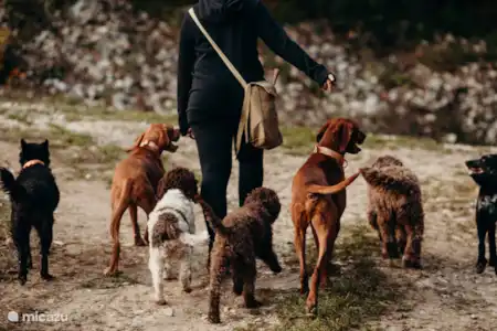 Activités exclusives à travers l’hébergement