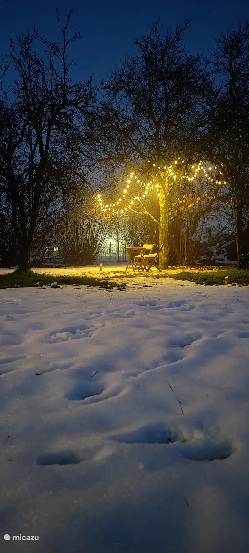 Terrasse unter den Bäumen.