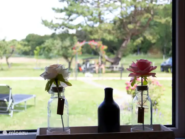 Location de Vacances Pays-Bas, Zélande, Renesse, maison de vacances - Chalet Little Creek