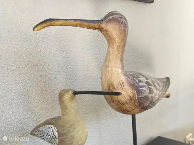 Parque de vacaciones de Krim. 724. en Países Bajos, Texel, De Cocksdorp - casa vacacional