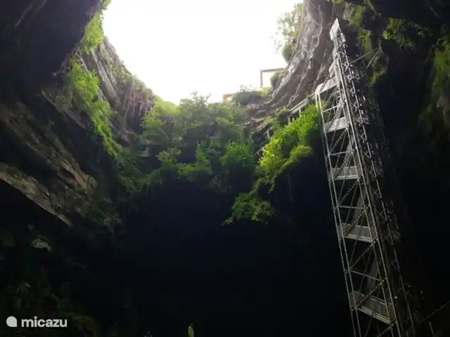 Laurier rose | France, Lot-et-Garonne, Massels - maison de vacances Croisière dans des grottes souterraines