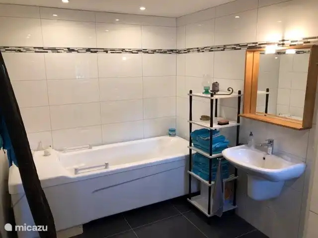 Bathroom with bath, sink on the left and toilet and shower on the right