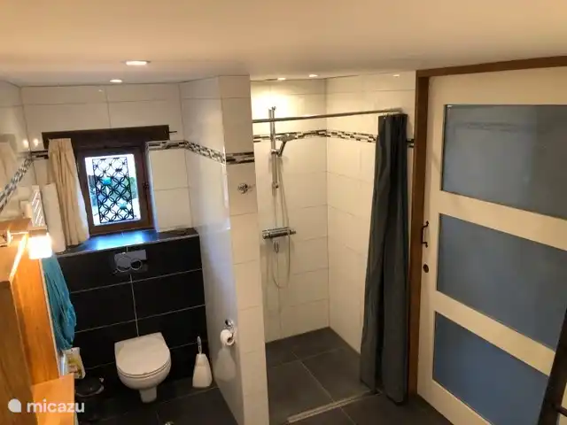 toilet and shower in the bathroom
