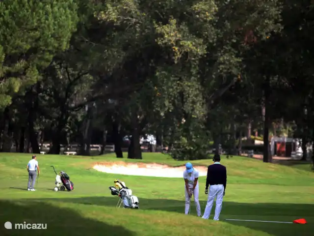 Residentie met zwembad PONANT | France, Hérault, La Grande-Motte - appartement Le golf se situe à 50m de la résidence