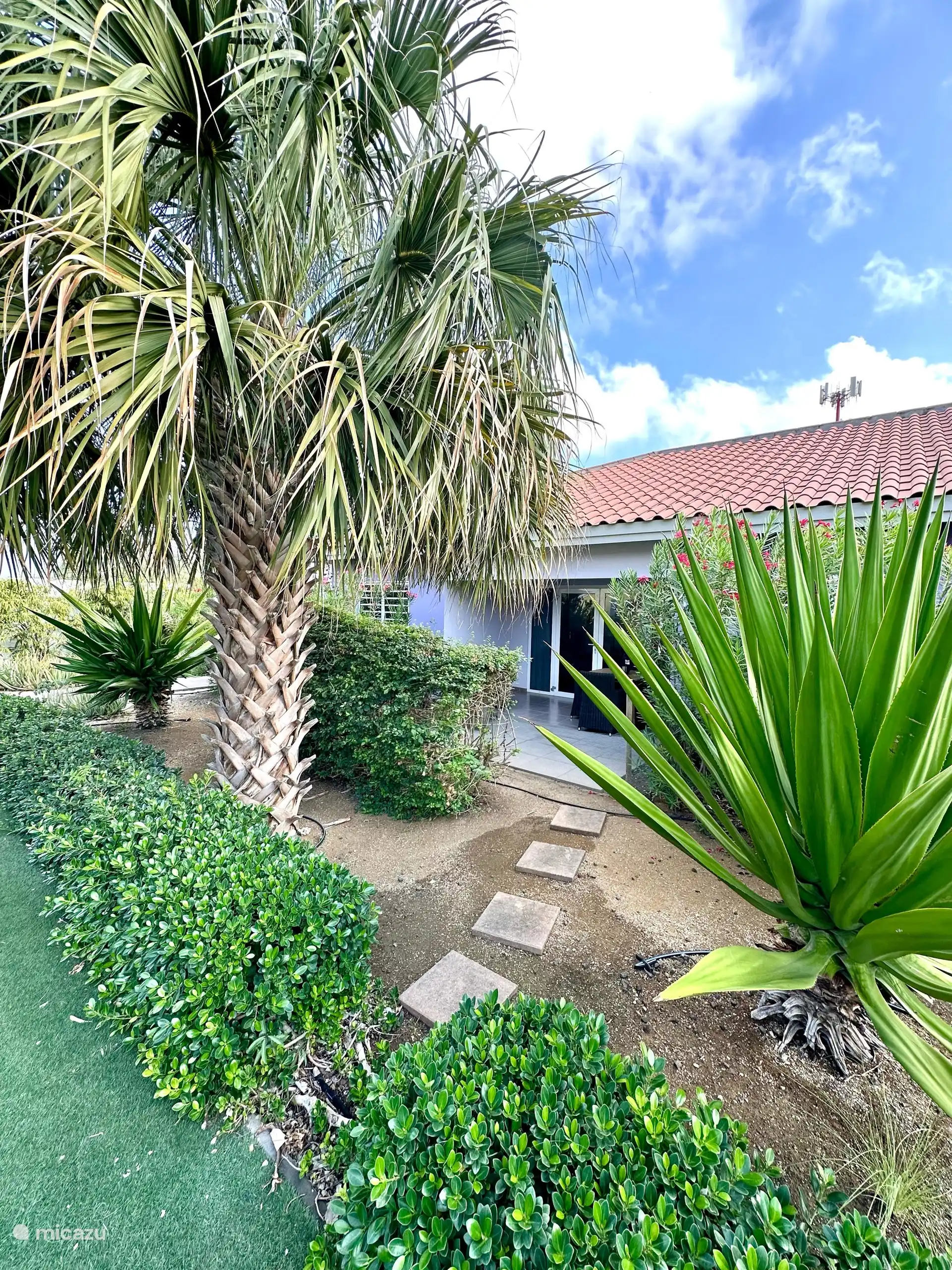 Terrasse extérieure