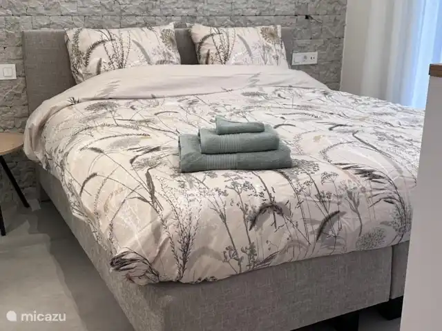 El Rincon del Pozo | Espagne, Murcia, San Pedro del Pinatar - appartement Lit double avec salle de bain attenante