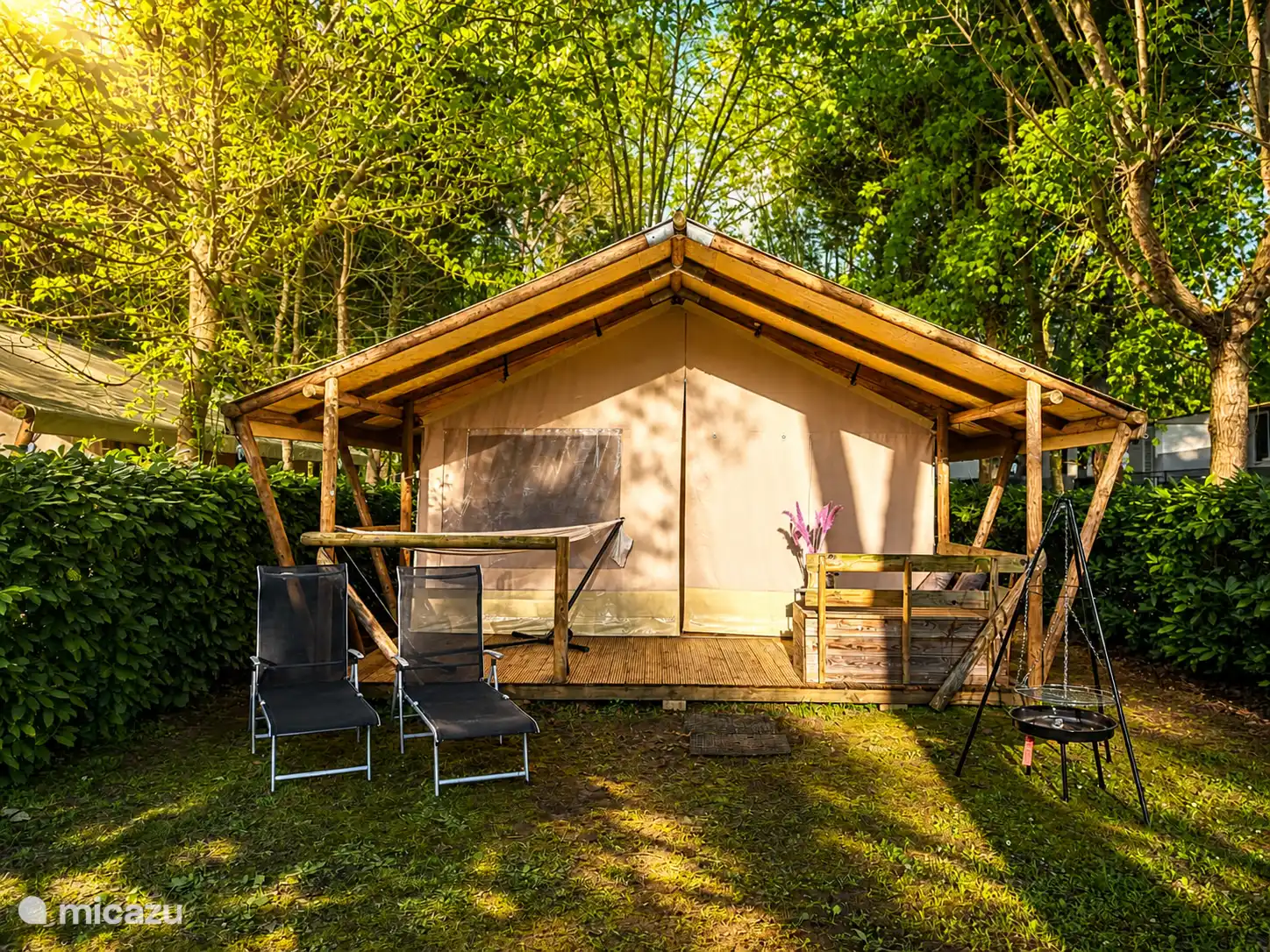 Safari tent