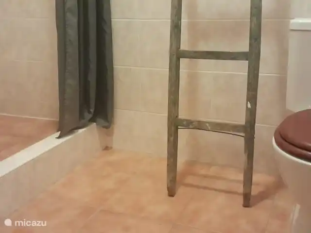 apartamento en República Checa, Sur de Bohemia, Strunkovice Nad Blanicí – Zichovec El corral de las cabras Ducha y WC