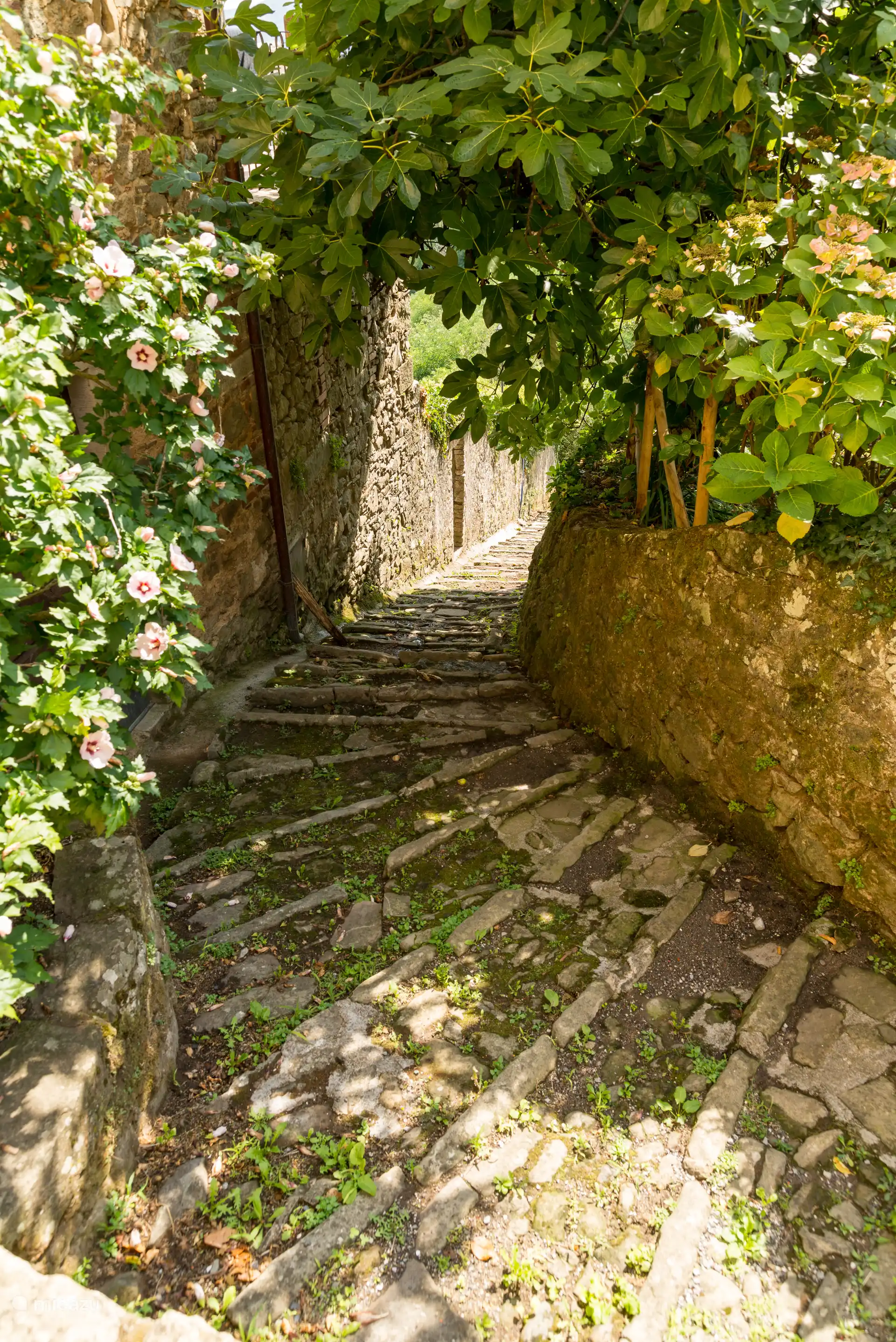 Aan de zijkant van onze woning is een trap. Via deze trap kun je ook naar de tuin en het zwembad.