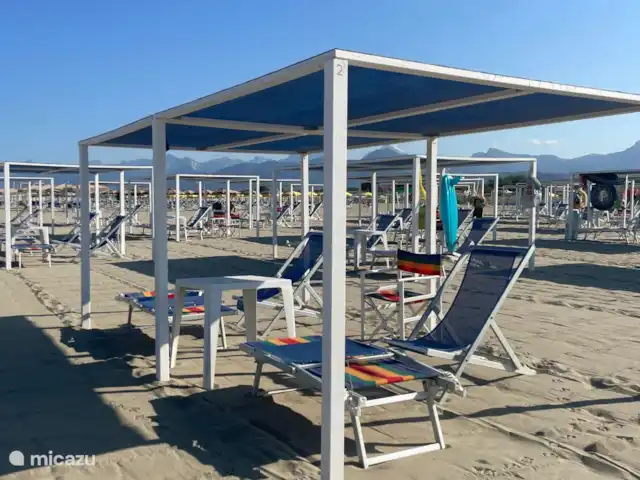 Glamping vakantie Viareggio huren in Italië, Toscane, Viareggio - glamping / safaritent / yurt Strand Viareggio