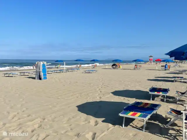 Glamping vakantie Viareggio huren in Italië, Toscane, Viareggio - glamping / safaritent / yurt Strand