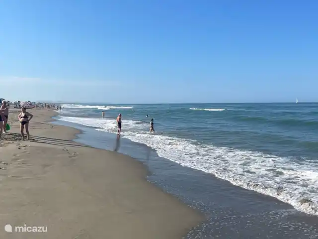 Glamping vakantie Viareggio huren in Italië, Toscane, Viareggio - glamping / safaritent / yurt Strand