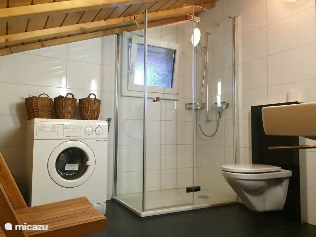 Modern bathroom with walk-in shower, toilet and sink. The washing machine can also be used. 
