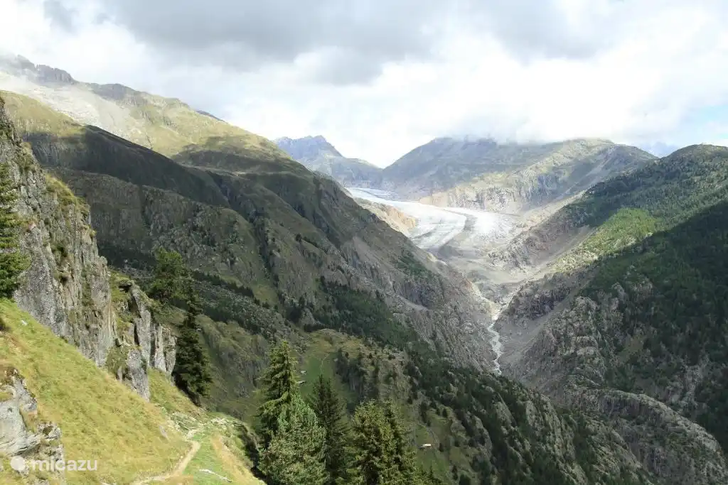 The Aletsch Glacier in summer. 