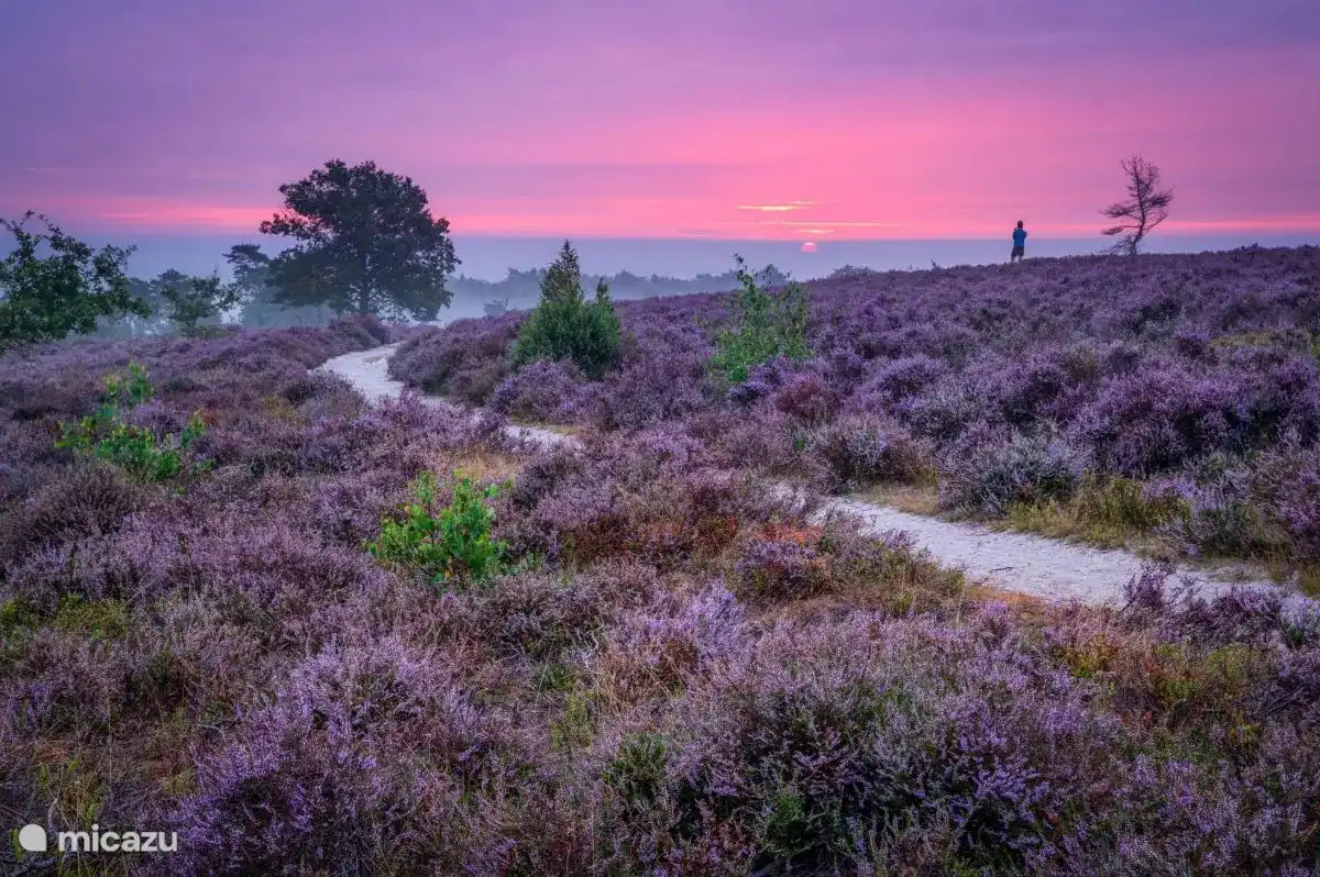 the Sallandse Heuvelrug with beautiful views