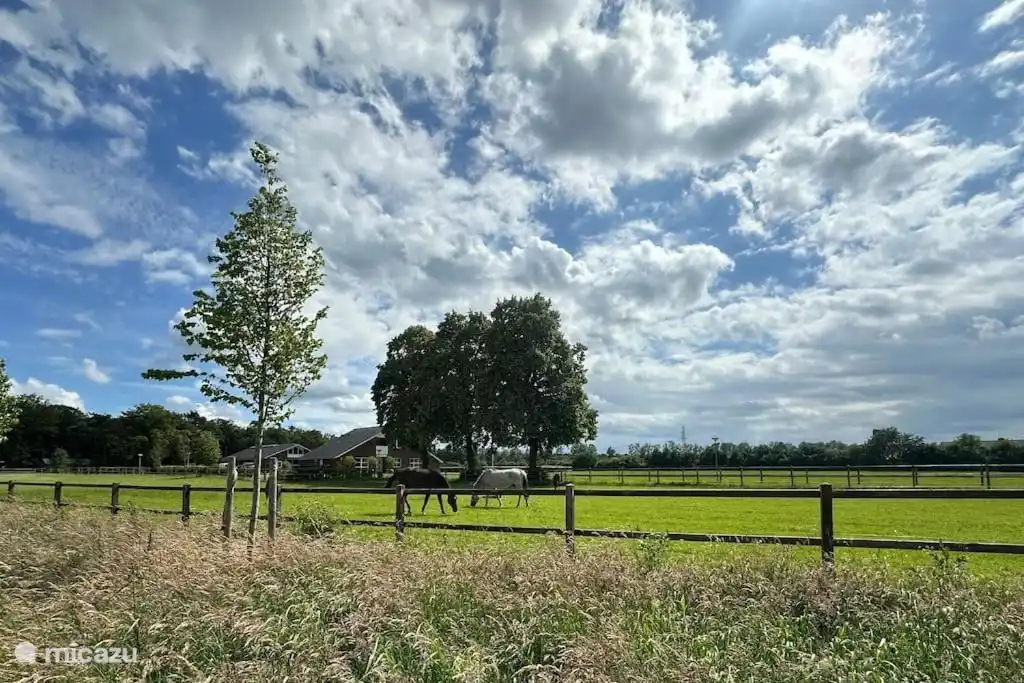View next to the holiday home