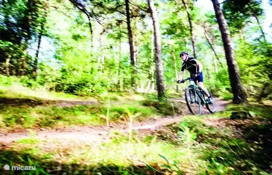 From the holiday home various mountain bike routes and cycling routes