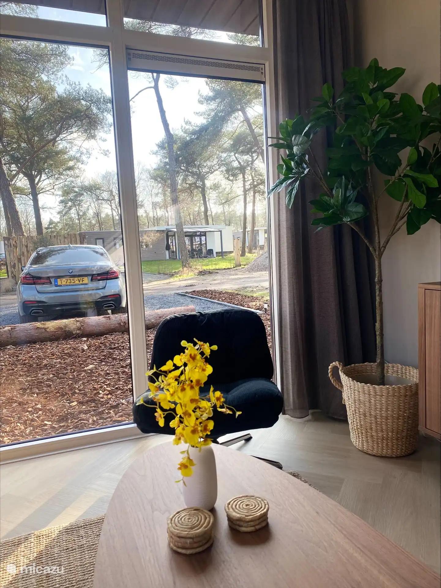 living room overlooking the parking lot (free parking