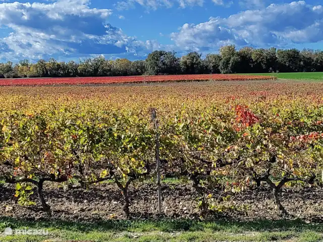 Maison Xiano - Rasteau Mont Ventoux | France, Vaucluse, Rasteau - maison de vacances Vue sur les vignobles