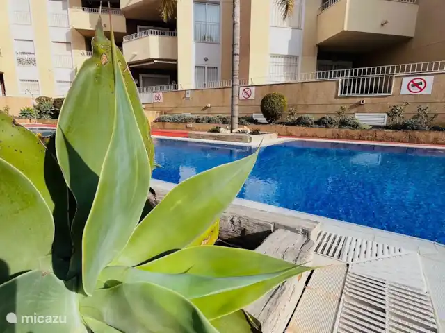 Casa Sonada en España, Costa Cálida, Los Alcázares - apartamento Piscina