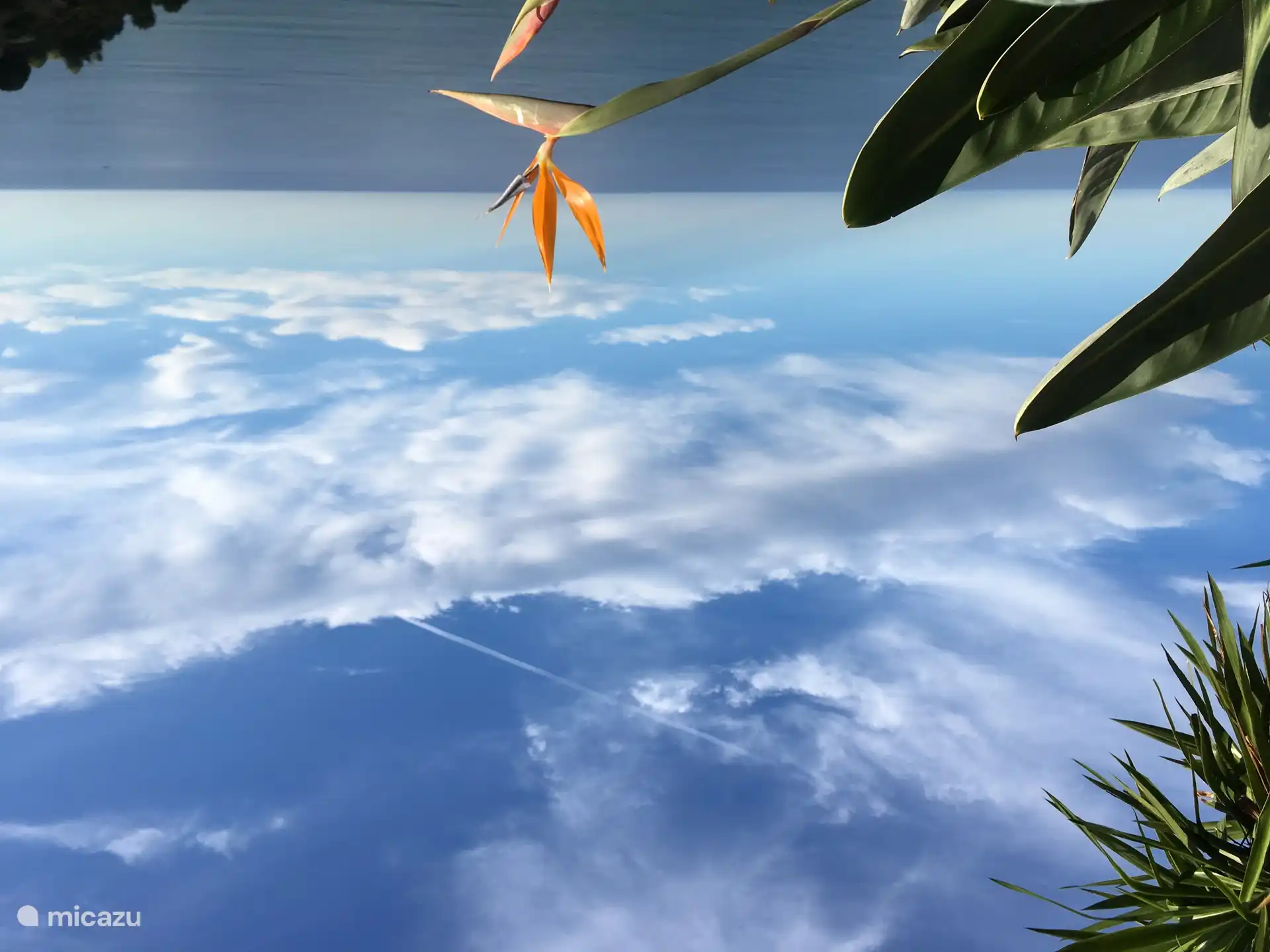 Blick auf den Garten