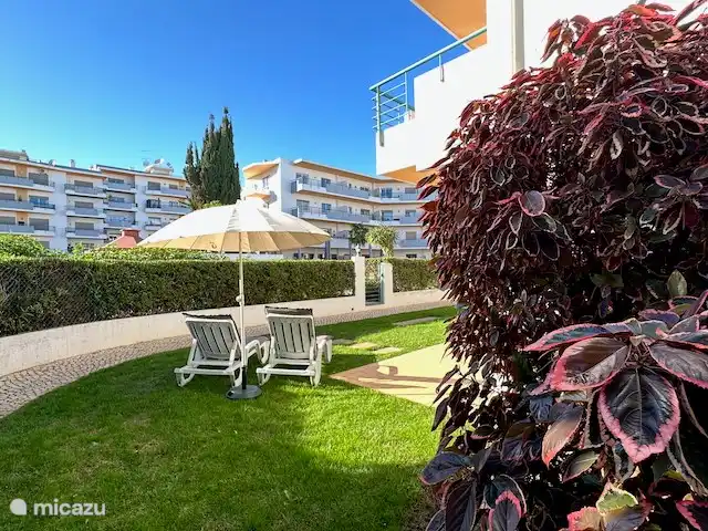 Location de Vacances Portugal, Algarve, Lagos, appartement - Samba Prendre un bain de soleil, dormir, lire ou surfer sur Internet ou les réseaux sociaux.