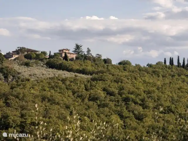 Location de Vacances Italie, Toscane, Gaiole in Chianti, appartement - Appartement Lippi Vue sur le Borgo