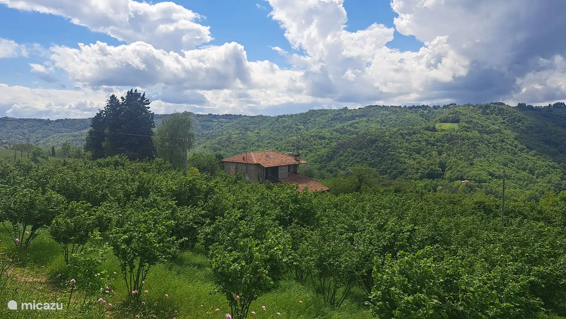 Alentours de la maison